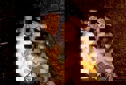 Brendan Fraser, Rachel Weisz returning for 4th ‘Mummy’ movie