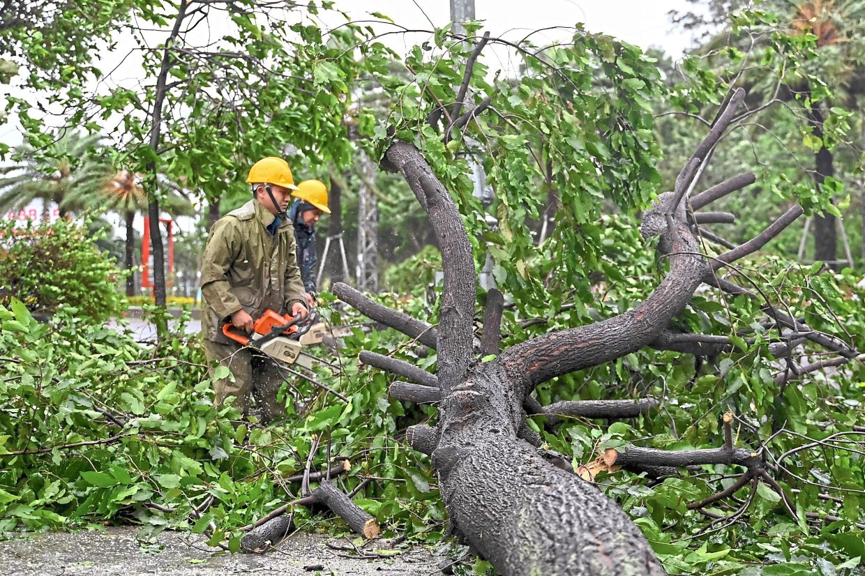 Bracing for impact: Workers using a chainsaw to remove branches from a fallen tree, while a resident reinforces a roof ahead of Typhoon Kalmaegi’s arrival in Gia Lai province, central Vietnam. — AFP 