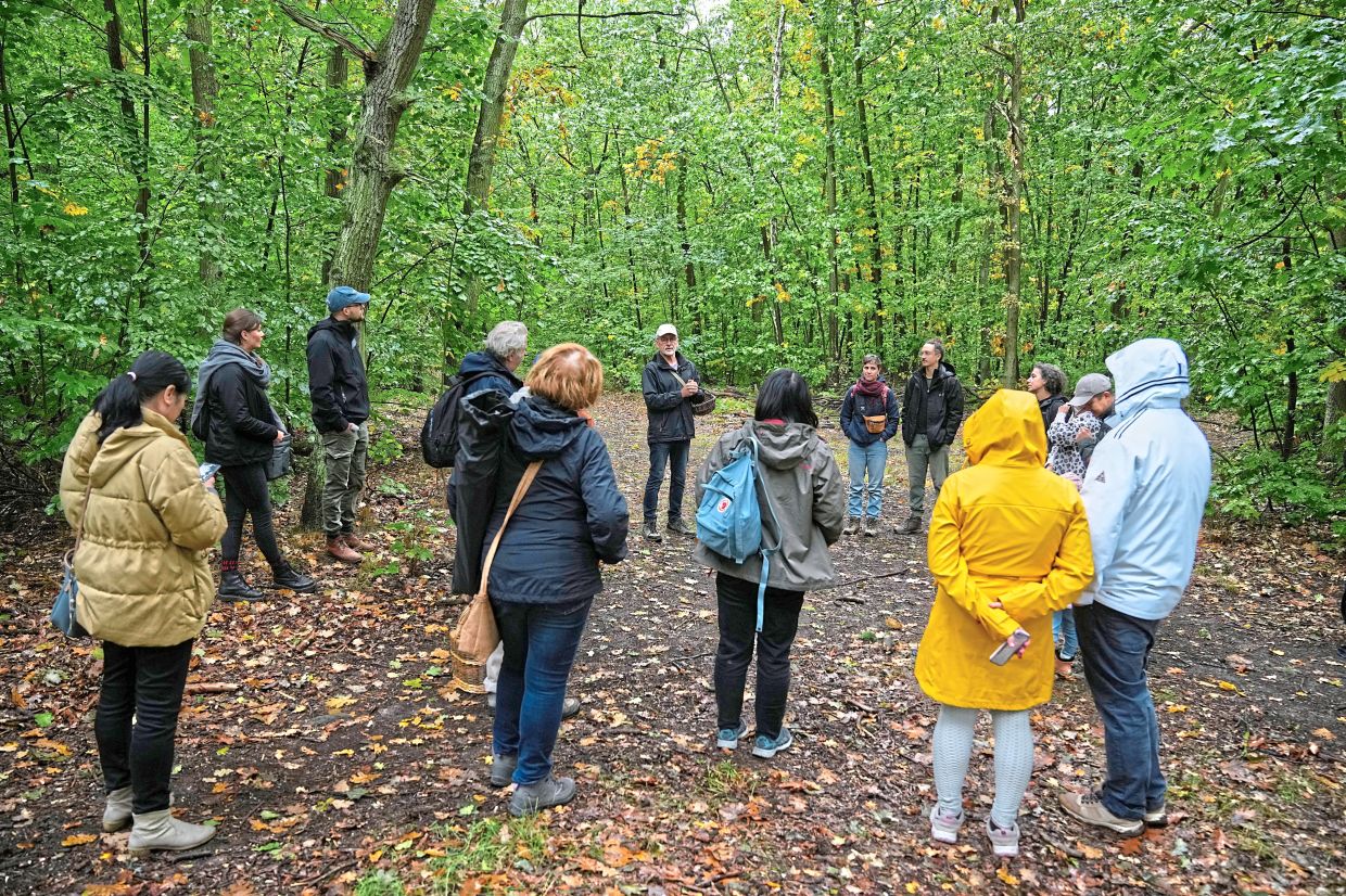 Bivour (centre) instructs mushroom pickers on how to hunt mushrooms in a forest in Potsdam, Germany. — Photos: AP