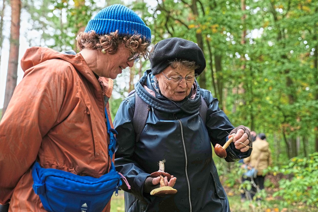 Mushroom hunters learning how to collect mushrooms.