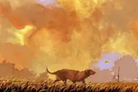 In a toxic world, pets could be vital health watchdogs