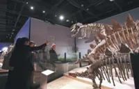 Is dinosaur resurrection possible? Maybe in the future, say leading paleontologists in Shanghai