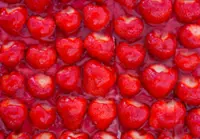 How does sugar affect our heart health?