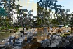 Typhoon Kalmaegi kills five people in Vietnam as the Philippines prepares for a new storm