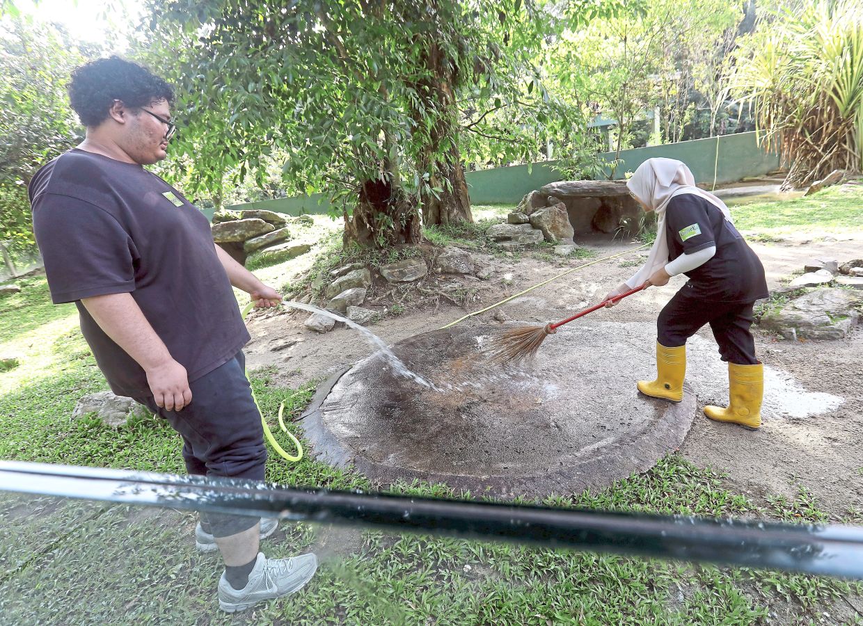 Participants cleaning the Aldabra giant tortoises’ feeding space (left) before giving them their meal.