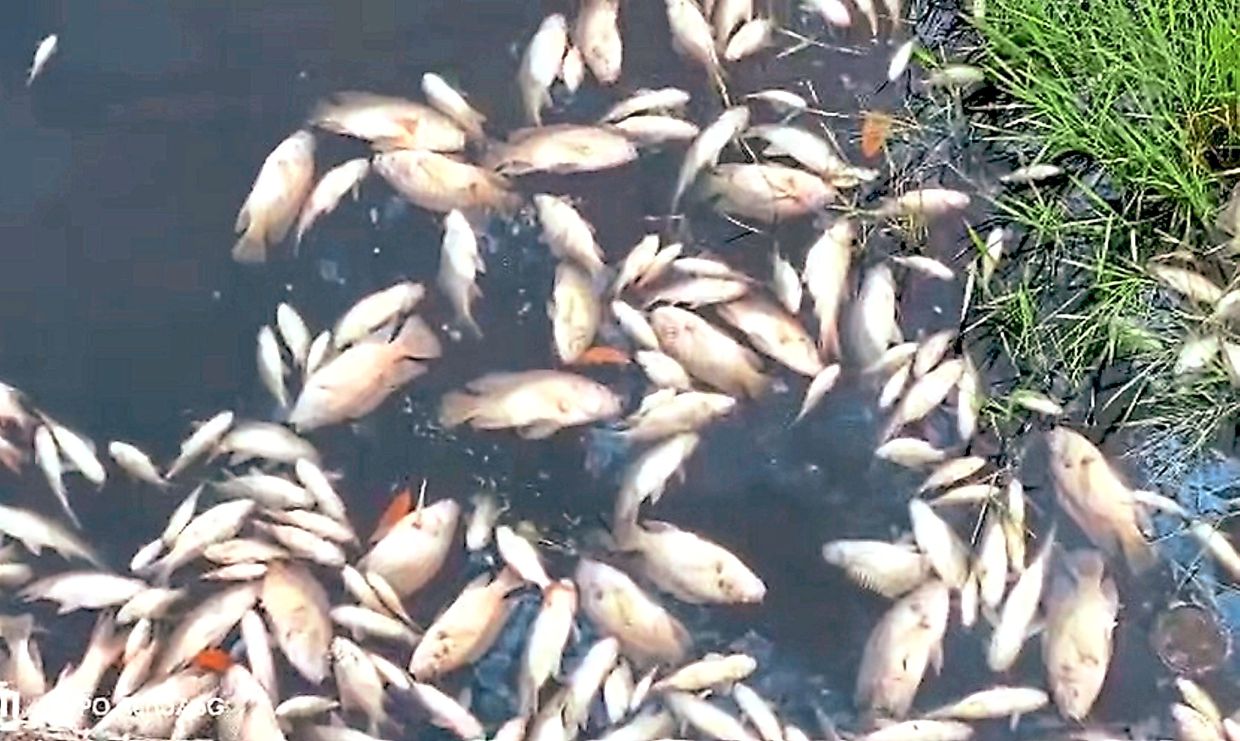 Sorry! Image not available at this time