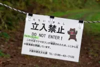 Bear attacks spur delivery companies in Japan to go extra mile in ensuring safety