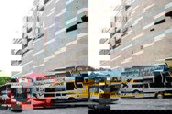 The great bus stop bust