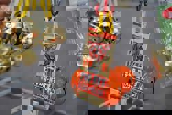 Man attacked by bear in Japan’s Fukushima prefecture