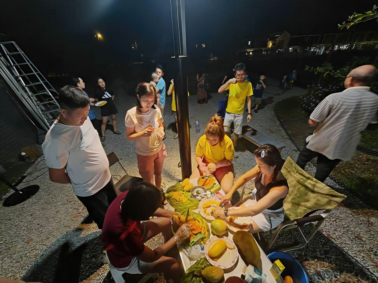 The green lung is thoughtfully designed to support wellness, foster connection, promote biodiversity and encourage outdoor enjoyment.