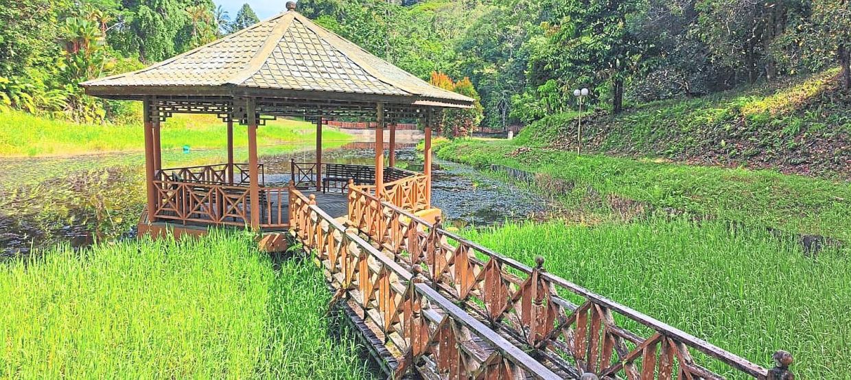 A derelict walkway (top) leads to a disused gazebo perched in the middle of a pond in the park.