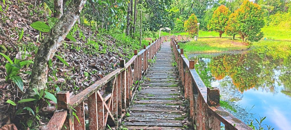 Sebangkoi Forest Park now lies quiet, almost forgotten, as it falls into disrepair.