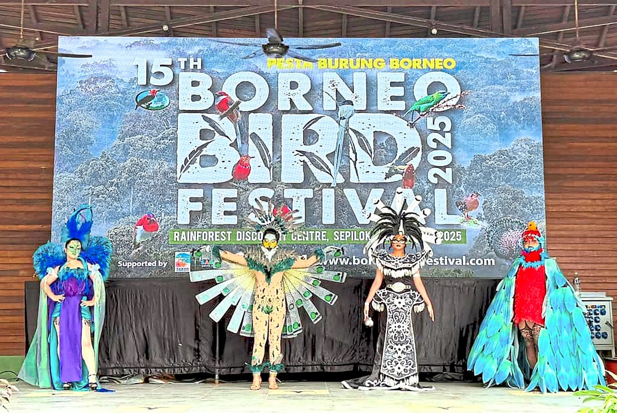A festival in full flight