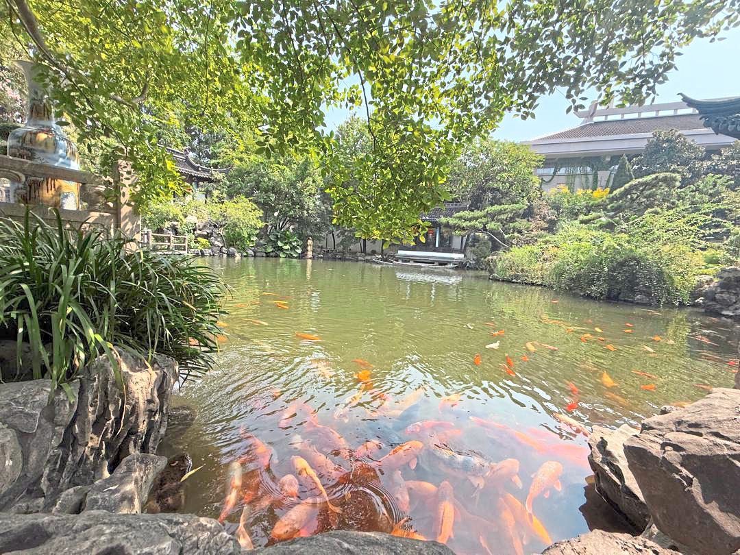 A view from one of the nature sites.
