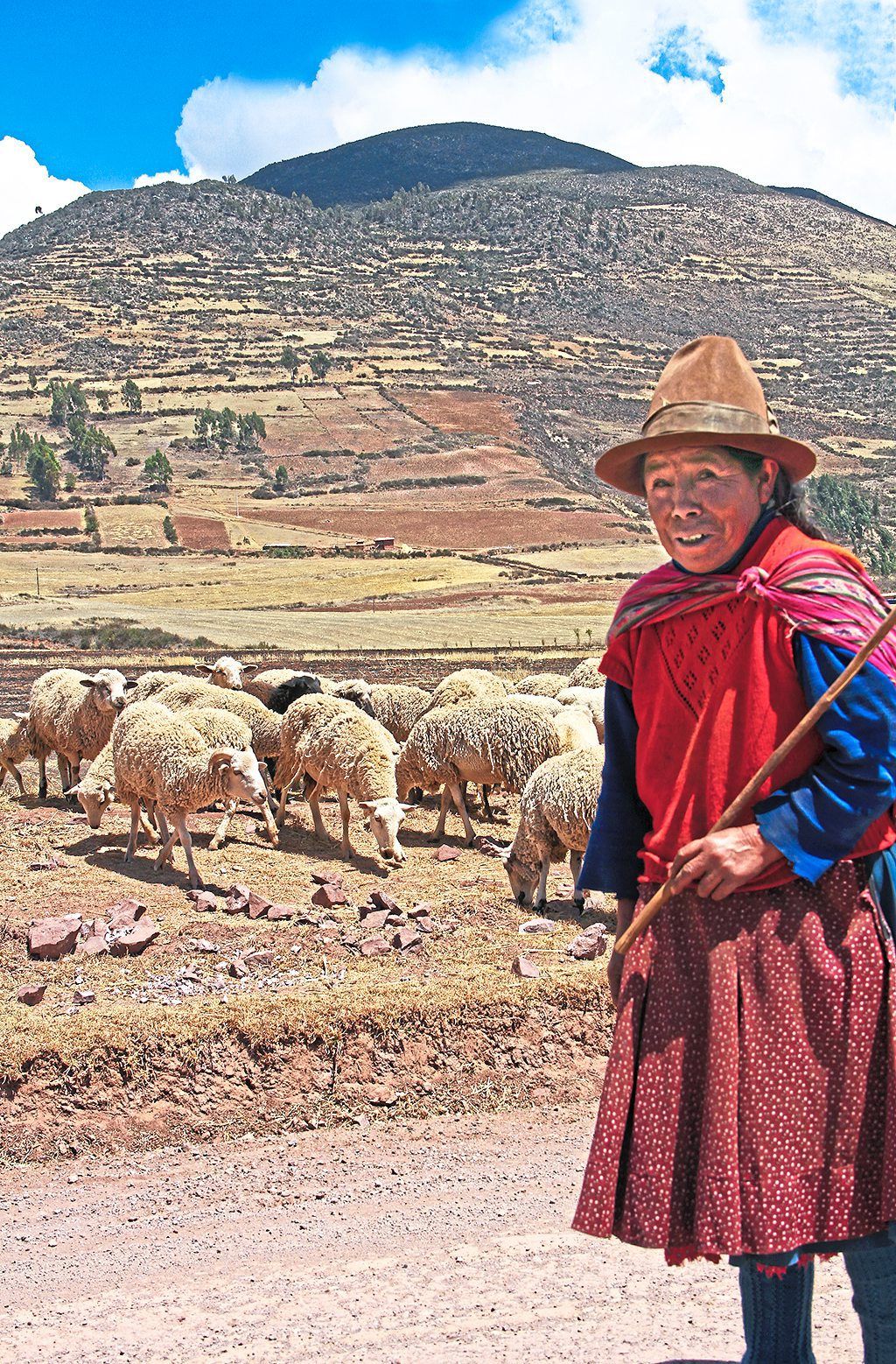 A woman herding a flock of sheep near the town of Maras.
