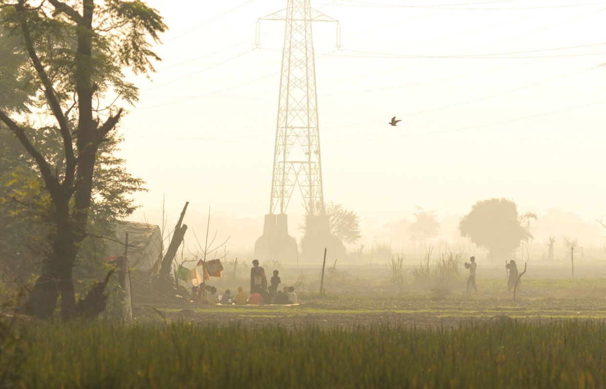 The Star  - Environment - News Image