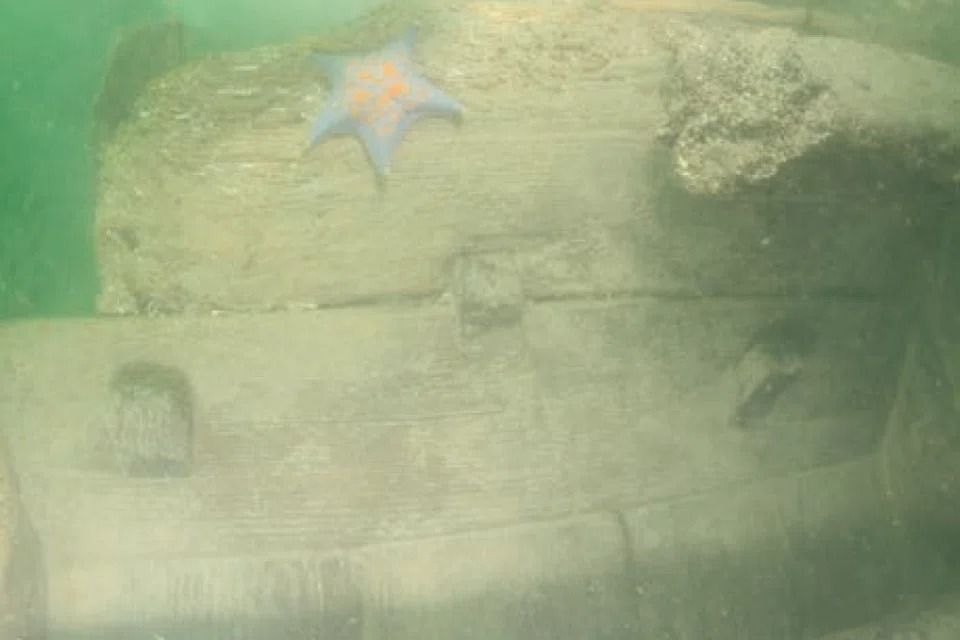 A section of the ship, as seen in a 2016 report by the National Research Institute of Maritime Heritage on the excavation works of Mado 4. -- PHOTO: NATIONAL RESEARCH INSTITUTE OF MARITIME HERITAGE