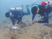 Guardians of the coral reefs