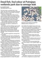 IWK: Utility cable encroachment triggers sewage leak at Putrajaya wetlands