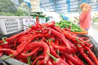 Hot and dry weather affecting appearance of vegetables