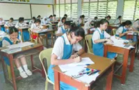 Multilingual, multitalented