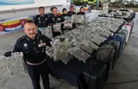 Police cripple new drug syndicate and seize RM8.67mil ganja in Penang