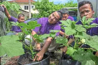 Urban farming initiative teaches the disabled to cultivate independence