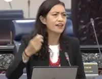 Malay-Rome shipbuilding makes waves in Dewan