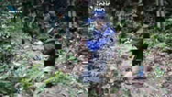 Thai army confirms new landmine planted at Cambodian border, calls it a violation of peace declaration