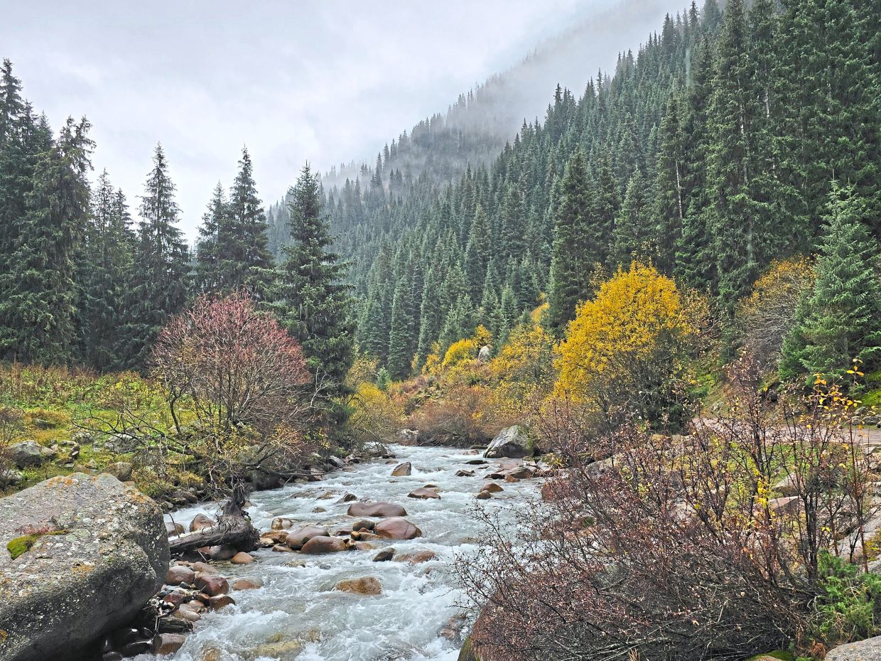 Beautiful autumnal forests of Altyn Arashan.