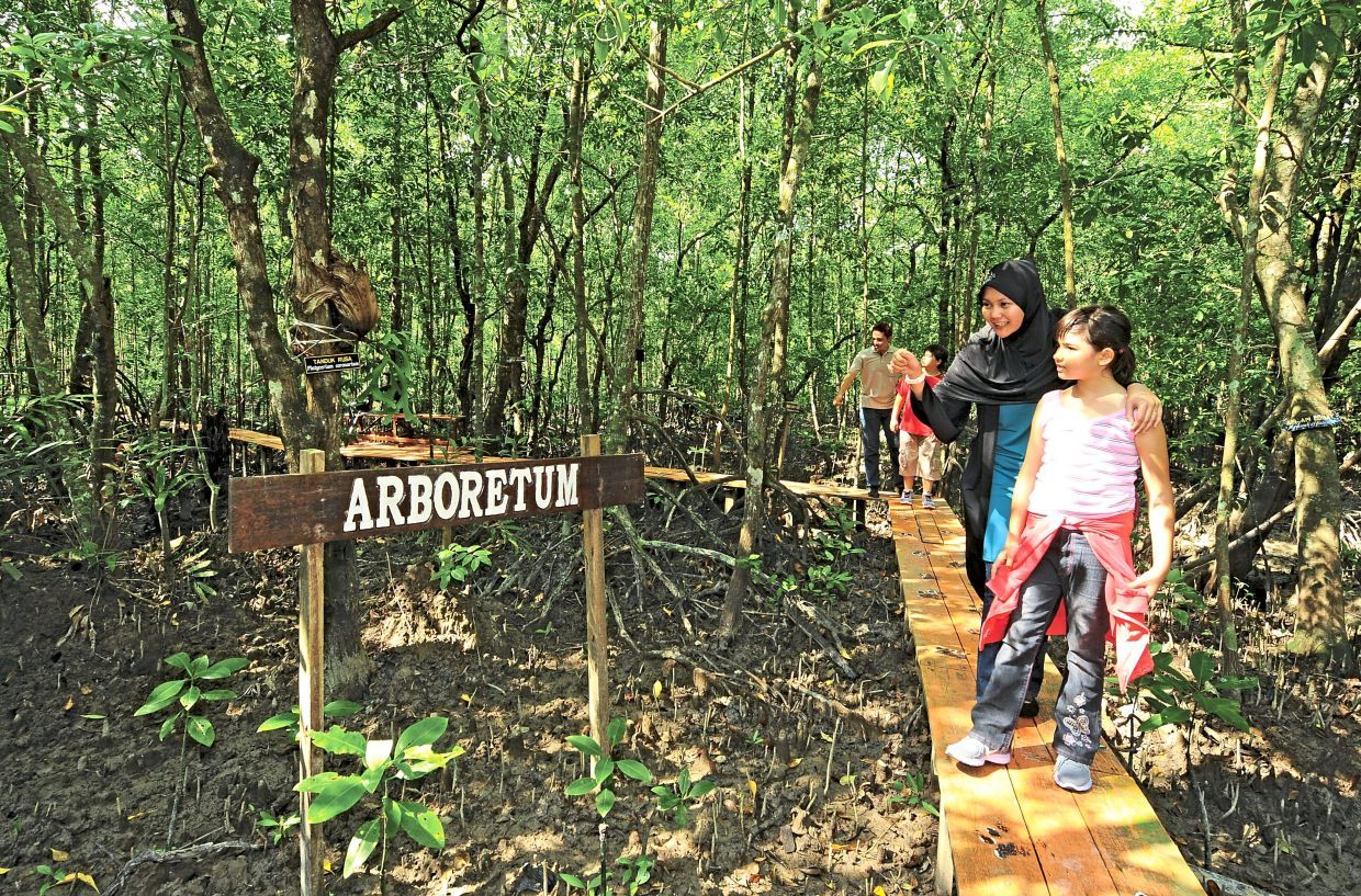 Pulau Kukup National Park is one of the world’s largest mangrove islands. — Photos: Tourism Malaysia