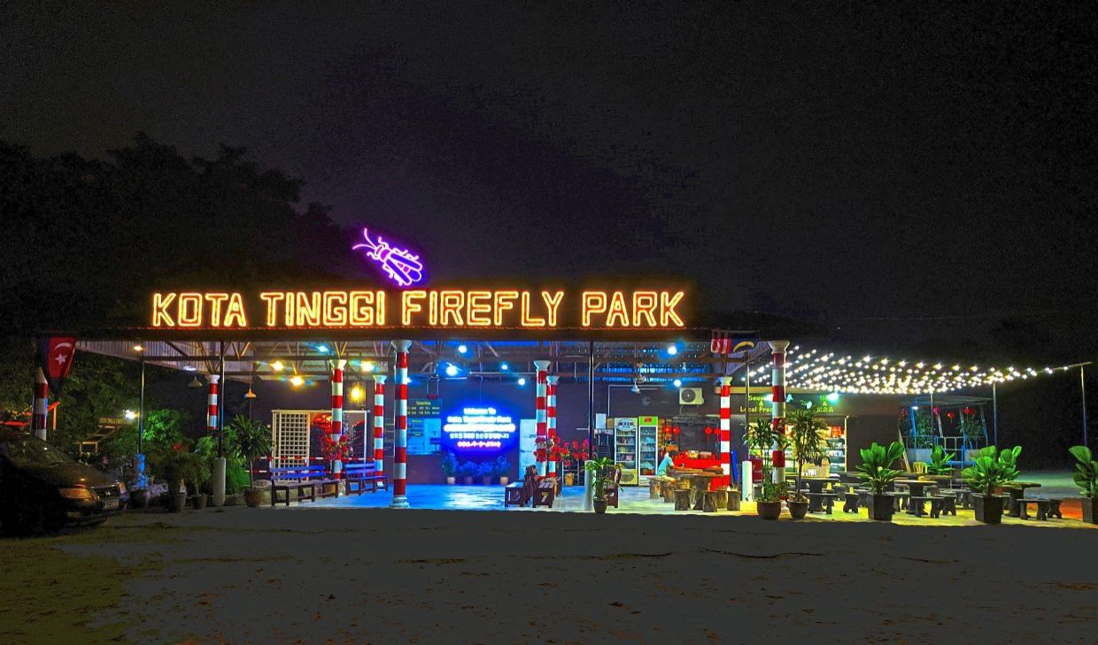 Visitors can watch a magical firefly ‘performance’ at a firefly park located 7km from Kota Tinggi town. — Wikimedia Commons
