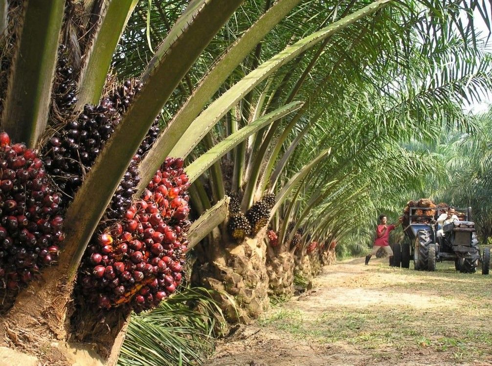 Sorry! Image not available at this time