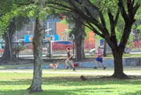 Pet owners renew calls to save Central Park dog run