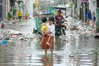 Work with nature, not against it