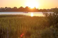 Dire forecast for seascapes