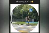 Singapore university student arrested after being filmed walking naked on campus
