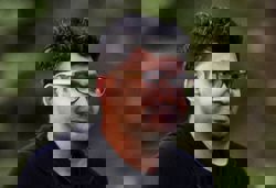 Ex-Twitter CEO Agrawal's AI search startup Parallel raises $100 million 