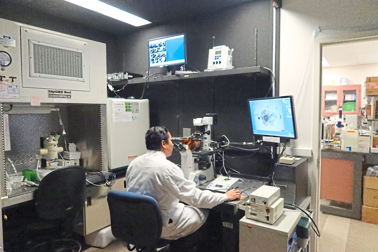 Cloning or ART is like buying time for the animals. It doesn’t replace conservation. We still need to protect habitats, prevent poaching, and address disease, says Dr Wan Nor Fitri. 