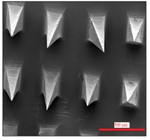 The insulin nanoparticles are loaded into these micron-sized needles (seen here via a scanning electron microscope), which can be inserted into a capsule for swallowing.