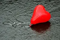 Prevent heart disease by getting these checked