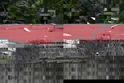 Starlink, utilised by Myanmar scam centres, sees usage fall nationwide