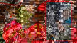 130kg Chinese man dies after gastric bypass surgery to impress girlfriend’s parents