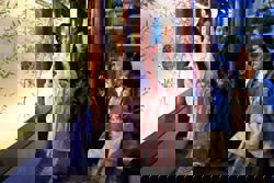 Young diners 'time travel' back to ancient China