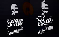 Reliance to set up 1 gigawatt AI data centre in India's Andhra Pradesh