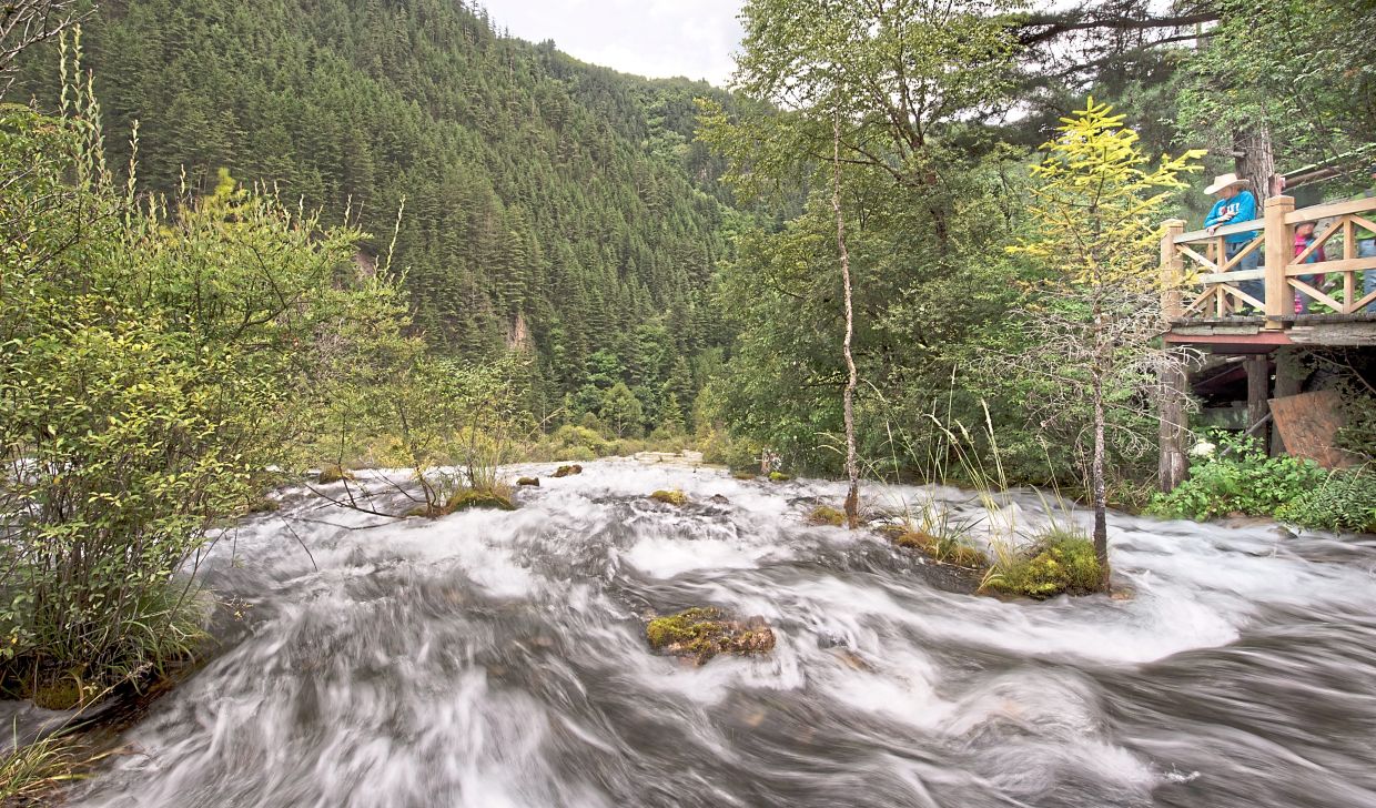 At Jiuzhaigou, the streams flow at a strong pace.