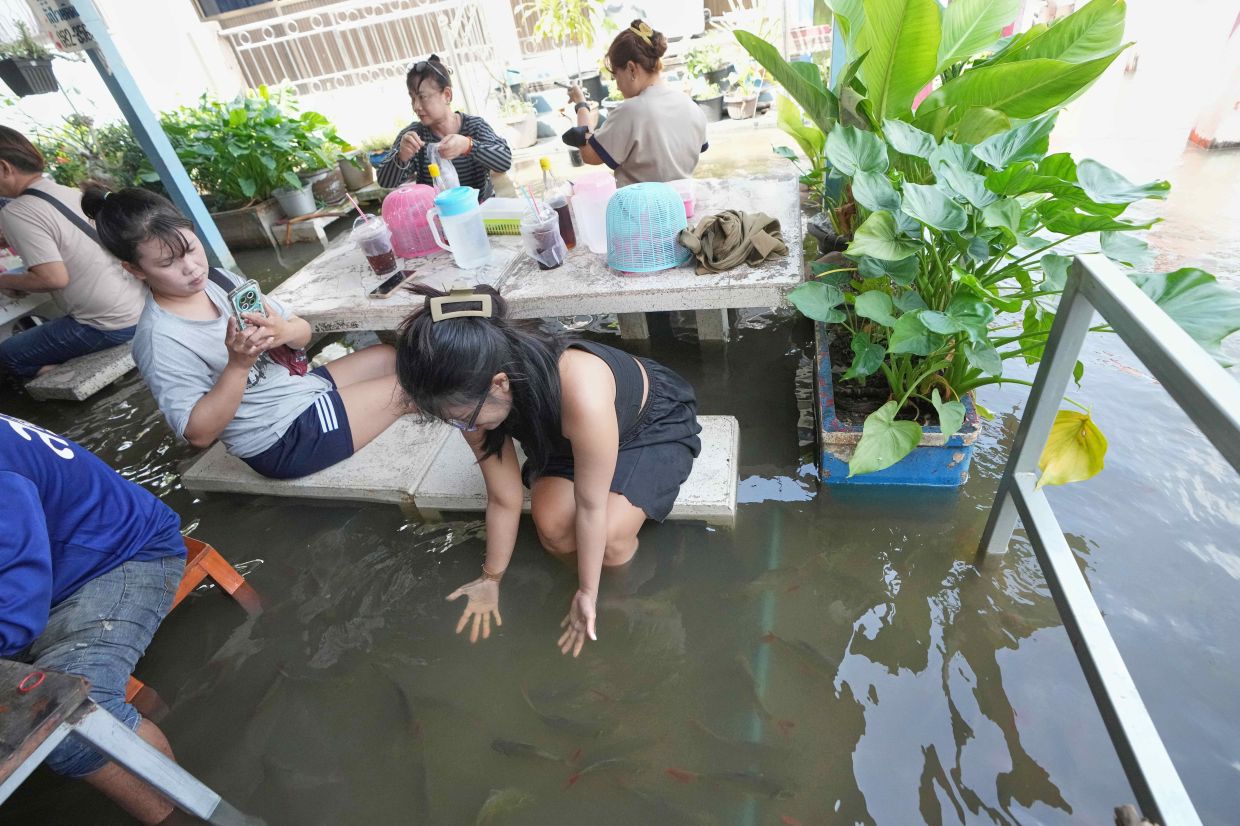 A flooded restaurant in Thailand brings delight with swimming fish among diners