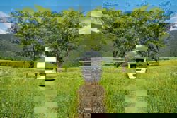 The downsides of living mobile