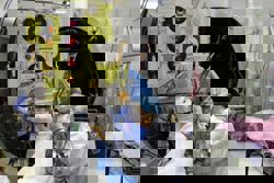 Major prospects for Vietnam’s space technology