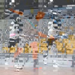 Sanjay stuns top seed to reach Open International Niort final in France